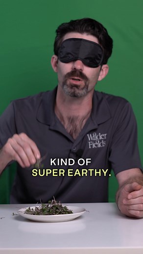 Rethink what greens can do for you. Daily Elements is made of 100%...