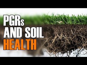 Plant Growth Regulators and Soil Health