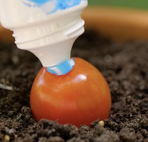 50K views · 100 reactions | Indoor plant growth for every household! | 5-Minute Crafts Play | Facebook