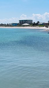 Manatee watching at the Fort Pierce Jetty. 👀They never fail! When you visit, sit on this side of jetty and watch in this area. There are usually two or more. 🩵🏝️🩵 #hutchinsonisland #florida #manatee #manateewatching #oceanview #FortPierce #inlet | Hutchinson Island Florida
