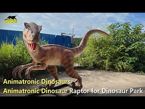 Animatronic Dinosaur Raptor for Dinosaur Park | Animatronic dinosaurs