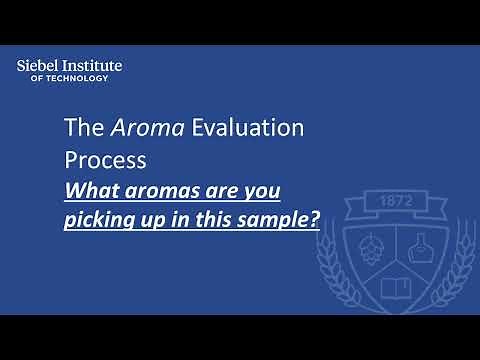 Basic tasting practice in beer sensory training