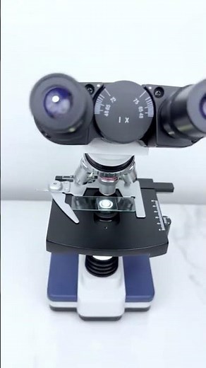 Under the Microscope: The Stunning Process of Fertilization!