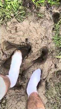 Play in garden/mud with my new white socks