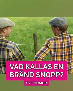 ⚡️Vad kallas en bränd snopp? 🔥
