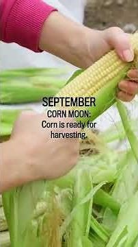 The Meaning of Full Moon Names