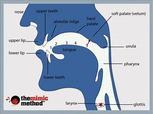 How to Pronounce G in Spanish - The Mimic Method