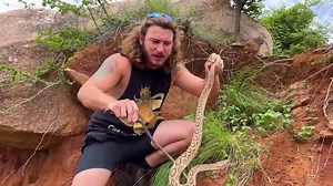 Chandler Bitten by Cobra. He's okay. May lose finger.