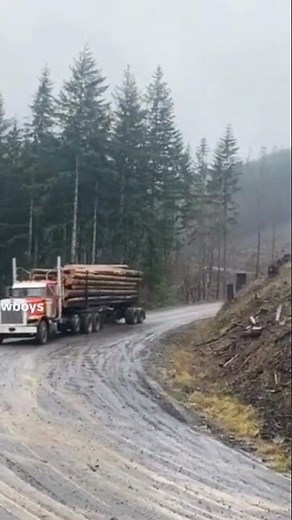 Logger Jake's brakes #automobile #congress