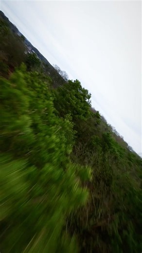 ASBO XLR 3.5 DJI O3 Unit RADIOMASTER T8L treetop surfing #fpvdrone #fpvcinematic #dji #fpvdive #fpv