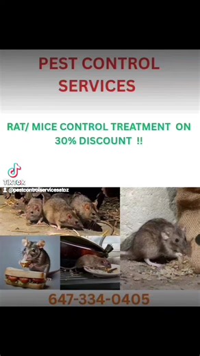 #brampton🇨🇦 #vaughanontario #realestateagent #condo #stonecreek