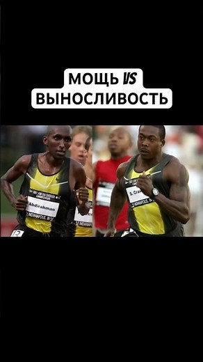 SPRINTER vs MARATHONER: Почему они такие разные?