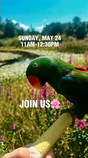 SIGN UP✨Nature Walk Sunday May 24 @ 11AM | Great Brook Farm State Park