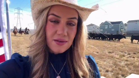 Sterling Ranch uses cattle to protect homes as working cattle ranch