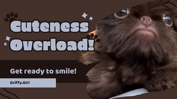 Hiccups That Steal Your Heart