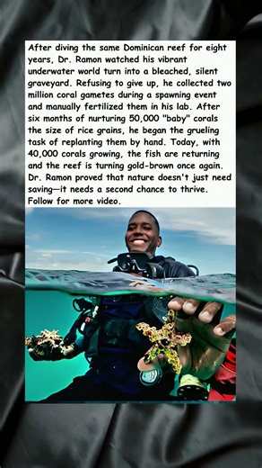 How Dr. Ramon Rebuilt a Dead Coral Reef