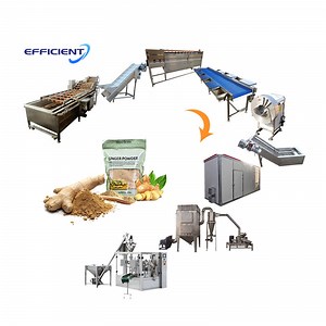 [Hot Item] Ginger Garlic Powder Production Making Machine Line Garlic with Drying Machine