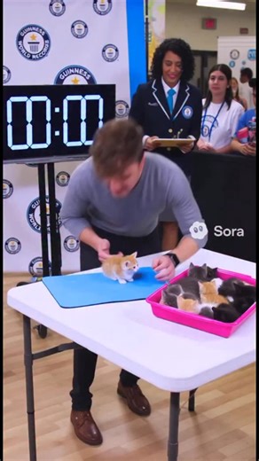 Manifesting my dream world record moment… #sora #ai How many kittens was the world record? | Joey William Suarez