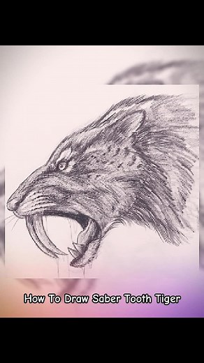 How To Draw Saber Tooth Tiger #sketchtutorial #sketch #sketchbook #drawing #drawingtutorial #howtodraw #art