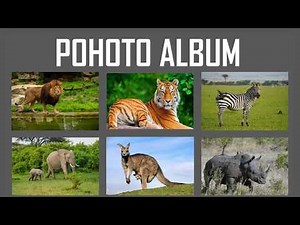 Create a STUNNING Photo Album in PowerPoint RIGHT NOW?
