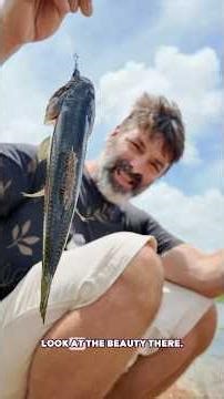 Piranhas vs Soft Plastics… (This Gets Expensive)