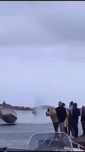 Experience | 🎬 “Lo que empezó como un paseo tranquilo… acabó en telenovela acuática.” 🌊 Gente volando, chanclas perdidas, dignidades flotando a la... | Instagram