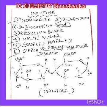 #12 CHEMISTRY biomolecules maltose