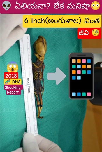 ఎడారిలో దొరికిన 6 అంగుళాల వింత ఏలియన్!😱The Mystery of Atacama Skeleton #Alien #viralshorts #mystery