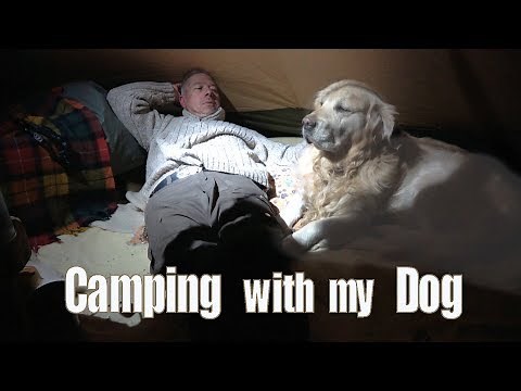 Winter Overnight Camping with my Dog