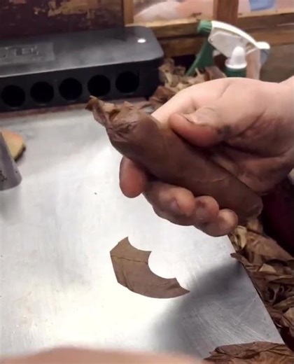 Crafting Power: Cabreras “The Bullet” 70x4 Habana in Seconds. #handmadecigars #premiumcigars