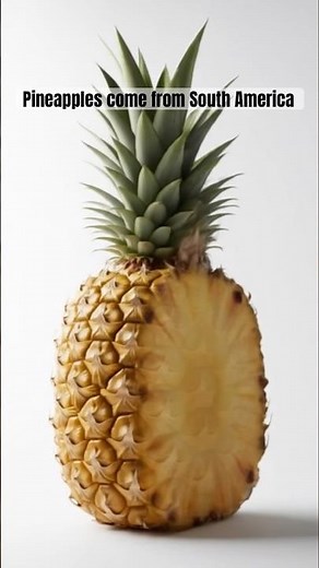 Where do pineapples come from? #pineapple #southamerica #facts #fruit #healthyfood