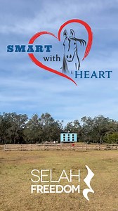 The healing of survivors is at the heart of our work. 💖 Grateful for the incredible partnership with Smart with Heart, bringing hope and transformative moments to survivors through equine therapy! 🐎 Together, we're making a difference, empowering hearts and changing lives, one hoofbeat at a time. 🐴 #HorseTherapy #SmartWithHeart #HealingJourney #EquineTherapy #Gratitude #ThankYouThursday #ThankfulThursday #DidYouKnow | Selah Freedom