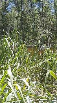 ESCONDIDA! TINHA UMA CAIXA D'ÁGUA NO MEIO DO CAMINHO.