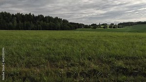 roadside view, road and landscape, forest and field, view from the car window