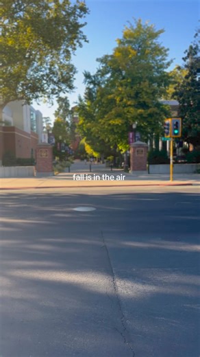 2.6K views · 36 reactions | Nothing beats Chico State fall.  What's your favorite season on campus? #ChicoState #Fall #Autumn | California State University, Chico | Facebook