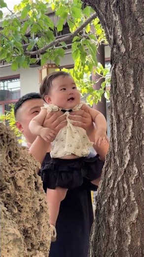 Unconventional Dad: Climbing Trees Over Walking with Kids