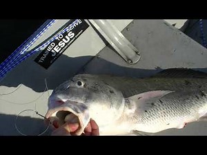 Ugly Stik Big Water Spinning Rod 7 ft Medium Action Review