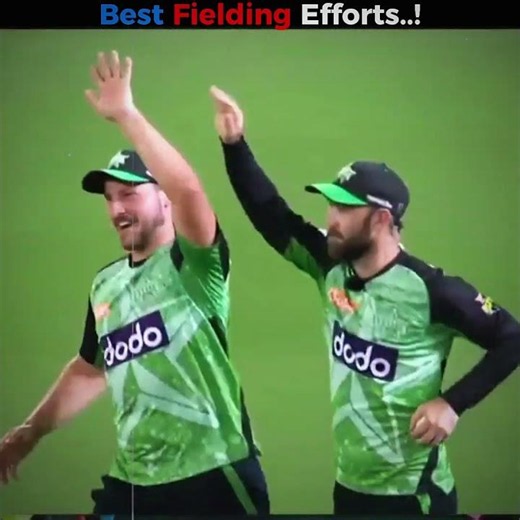 Top 3 Best Fielding Efforts in Cricket..!! 😧