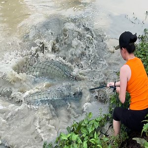 113K views · 2.5K reactions | Most epic cast net fishing for biggest dragon fish in the world | Survival with Emma | Facebook