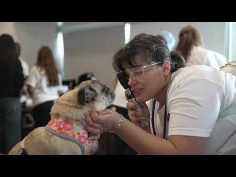 Veterinary Experience for HTCV Students HTH Ep3 2025-26