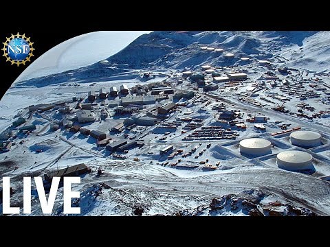 [LIVE] Marine Biologists in Antarctica 🐧❄ | McMurdo Station