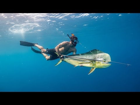 Spearfishing Marlin in Open Ocean 🐟 | Intense Battle with Aggressive Sharks
