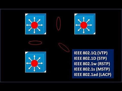 Introduction - L2 & L3 Network Protocols Testing.