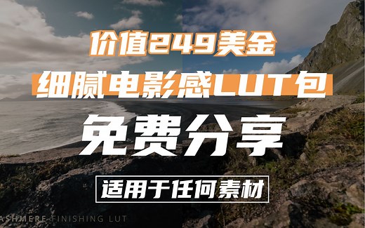 价值249美金！细腻电影感调色LUT包免费分享 | 十种调色风格 | 达芬奇 FCPX Premiere | Lens Distortions