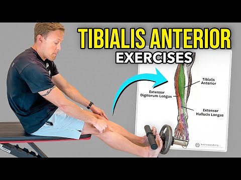 How to Exercise Tibialis Anterior