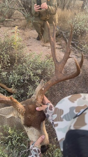 13K views · 1.3K reactions | It’s really great to see the raw emotion and joy that hunting big bucks in Mexico brings out. Congrats Lorenzo @gohunt  Lorenzo and @clayhill86 snuck in on this deer in his bed in a thick jungle of Ocotillo, Organ Pipe and Palo Verde  #huntmexico #muledeer #muledeerhunting #GOHUNT | Jay Scott Outdoors | Facebook