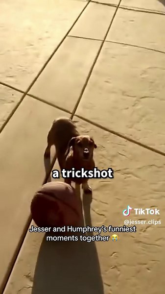 Humphrey's Cheeseburger Caper with Jesser