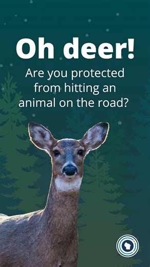 Wisconsin drivers know that deer can appear suddenly — especially during fall. Make sure you understand your auto insurance coverage and know whether you’re protected in case of an animal-related crashes. oci.wi.gov/AutoFAQ | Wisconsin Office of the Commissioner of Insurance