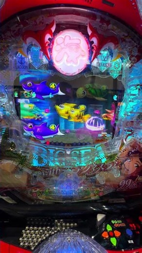 2月1週目パチンコ大当たり⑦PA大海物語5withアグネス・ラム 魚群の後ろを横切る魚達がBIG プレミアム パールフラッシュ #パチンコ #パチンコ動画 #海物語 #大海物語 #チャンネル登録