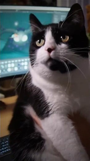 My Cat Thinks He's a Game Developer